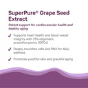 pure-synergy-superpure-grape-seed-extrac-4.jpg