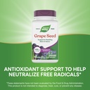 nature-s-way-grape-seed-standardized-ext-4.jpg