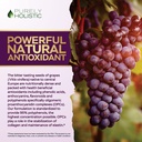 purely-holistic-grape-seed-extract-400mg-2.jpg