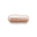 gnc-herbal-plus-grape-seed-extract-300mg-3.jpg