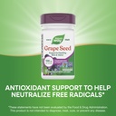 nature-s-way-grape-seed-standardized-ext-4.jpg