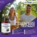 fineland-organic-grape-seed-extract-rich-4.jpg