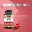 berberine-resveratrol-supplement-bundle--2.jpg