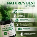 wheat-grass-powder-organic-premium-wheat-4.jpg