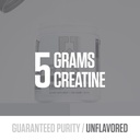 ryse-creatine-monohydrate-powder-unflavo-3.jpg