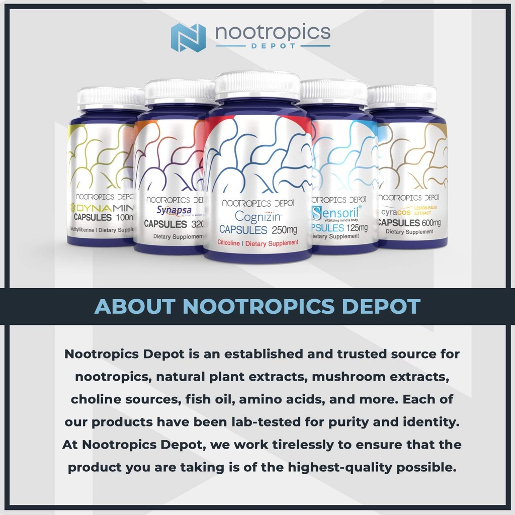 nootropics-depot-alpha-gpc-99-powder-60--3.jpg