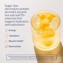 trace-minerals-zerolyte-salty-mango-flav-2.jpg