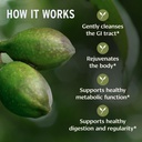 banyan-botanicals-organic-haritaki-table-3.jpg
