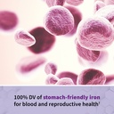 garden-of-life-raw-vitamin-code-prenatal-5.jpg