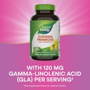 nature-s-way-evening-primrose-oil-cold-p-4.jpg