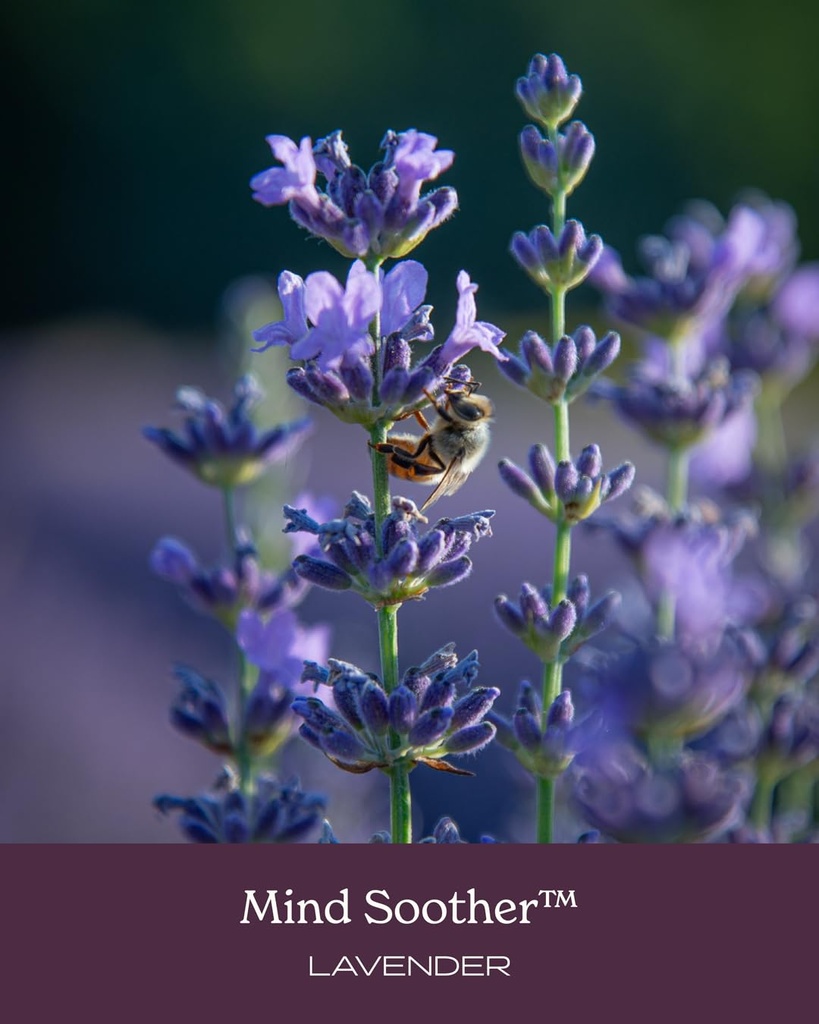 herb-pharm-mind-soother-lavender-liquid--5.jpg
