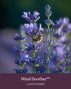 herb-pharm-mind-soother-lavender-liquid--5.jpg