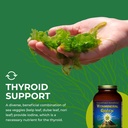 healthforce-superfoods-vitamineral-green-6.jpg
