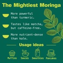 kuli-kuli-moringa-oleifera-organic-leaf--4.jpg