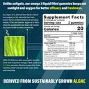 vegan-omega-3-gummies-1000mg-zinc-copper-2.jpg