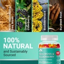 bio-vitalica-irish-sea-moss-gummies-with-3.jpg
