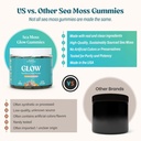 akasha-superfoods-sea-moss-glow-gummies--5.jpg