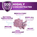 european-elderberry-fruit-extract-1200mg-5.jpg