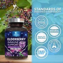 european-elderberry-fruit-extract-1200mg-4.jpg