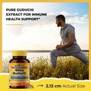 sandhuherbals-organic-giloy-guduchi-powd-6.jpg