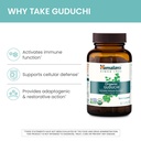 himalaya-organic-guduchi-herbal-active-i-4.jpg