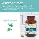 himalaya-organic-guduchi-herbal-active-i-6.jpg