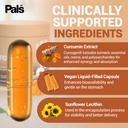turmeric-curcumin-supplement-500mg-bio-5-4.jpg
