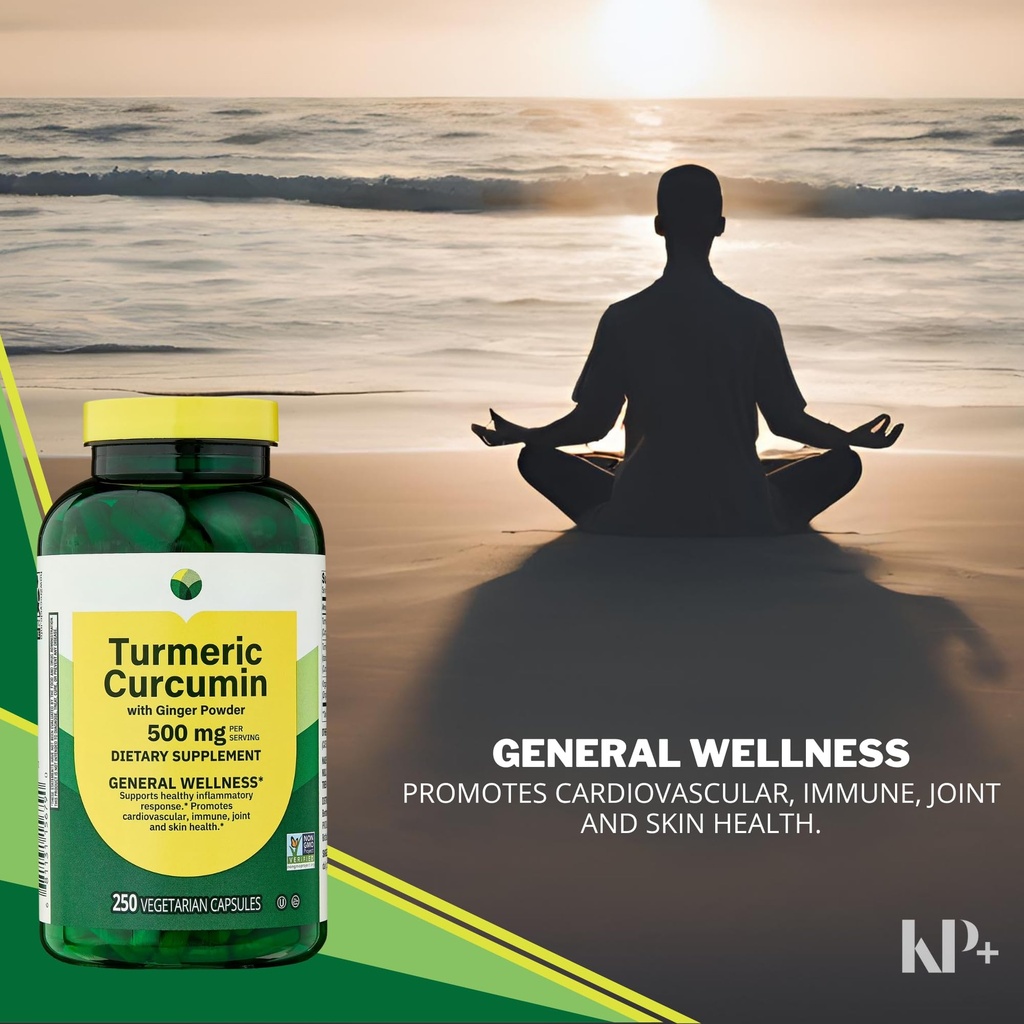 kp-turmeric-curcumin-with-ginger-powder--6.jpg