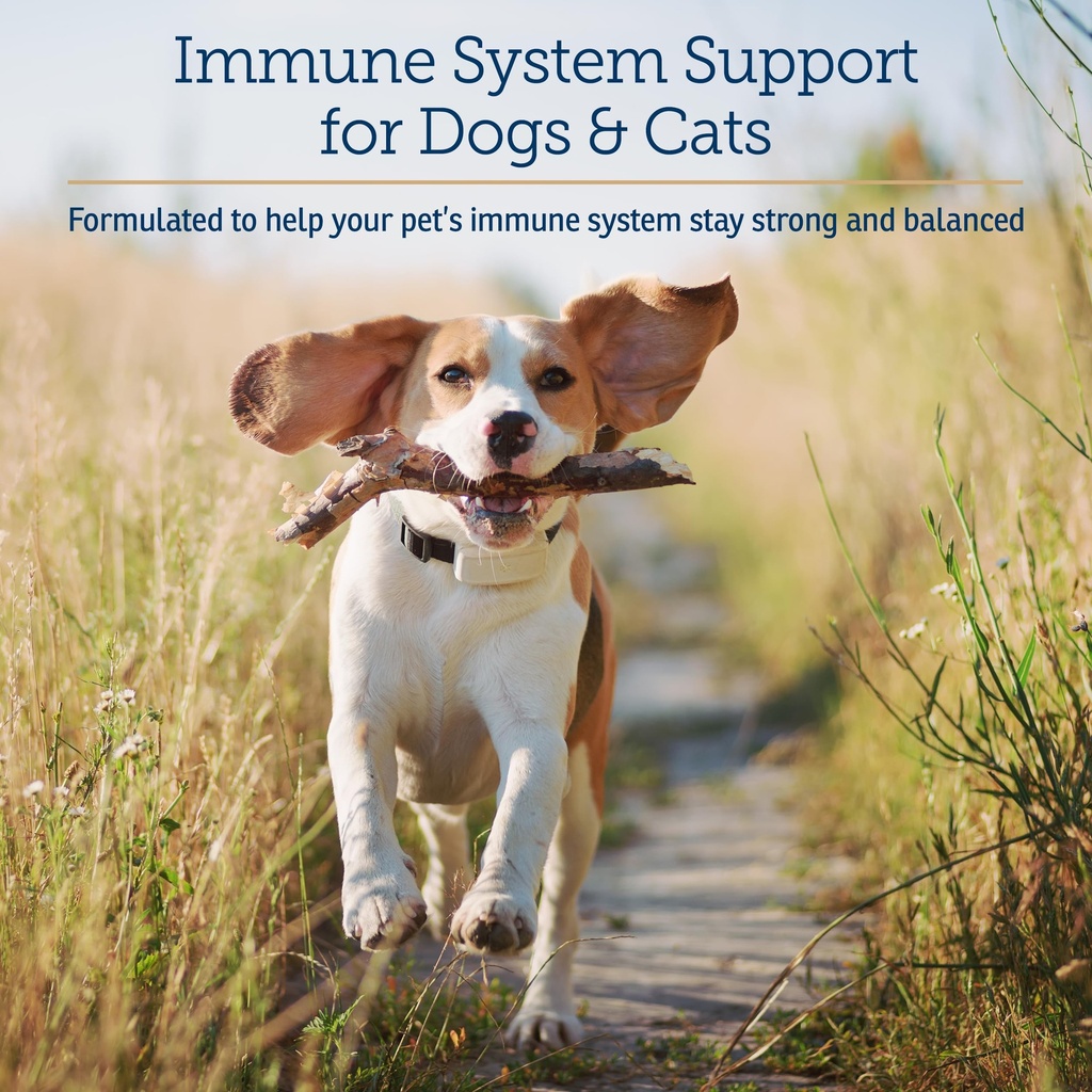 rx-vitamins-curcuwin-curcumin-for-dogs-c-2.jpg