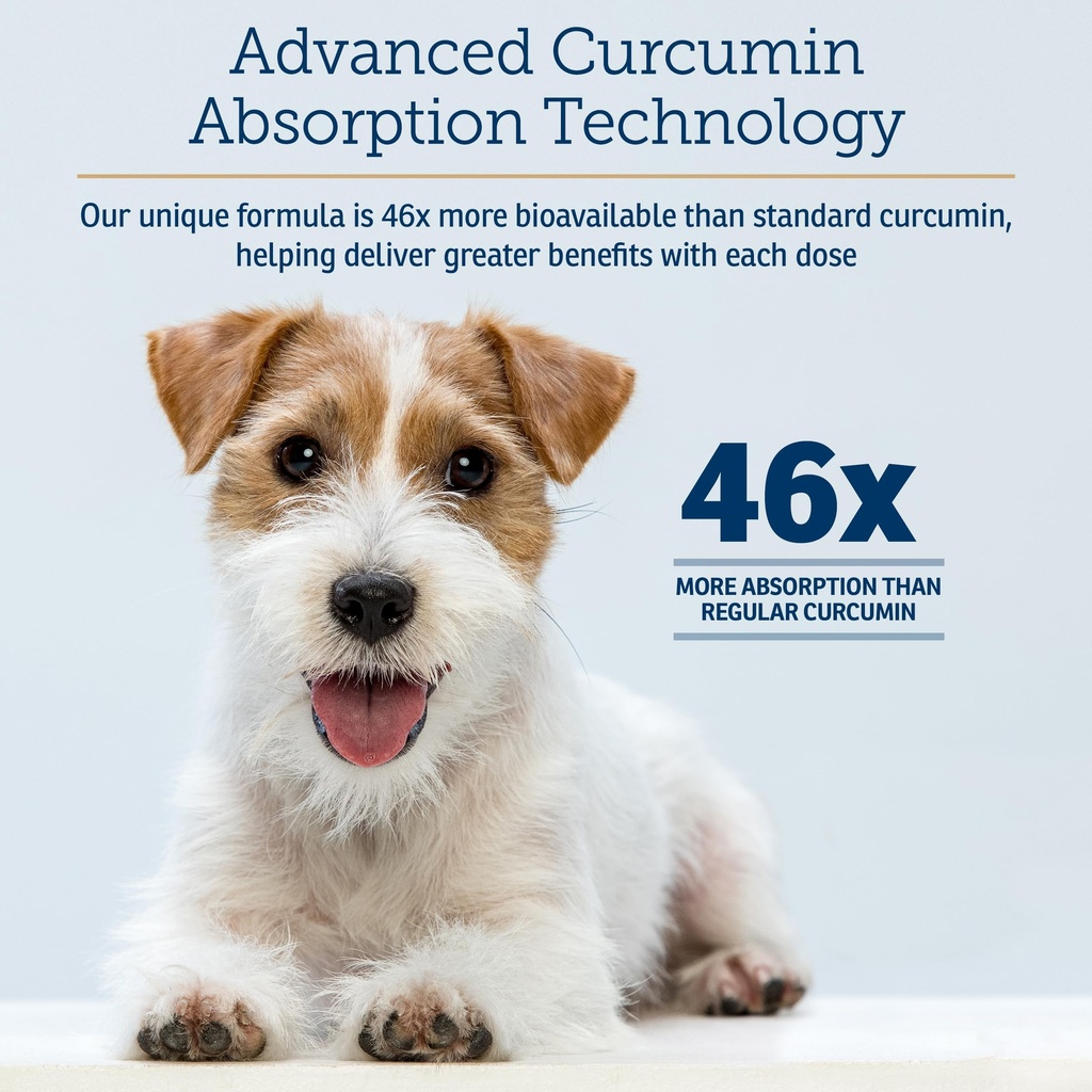 rx-vitamins-curcuwin-curcumin-for-dogs-c-3.jpg