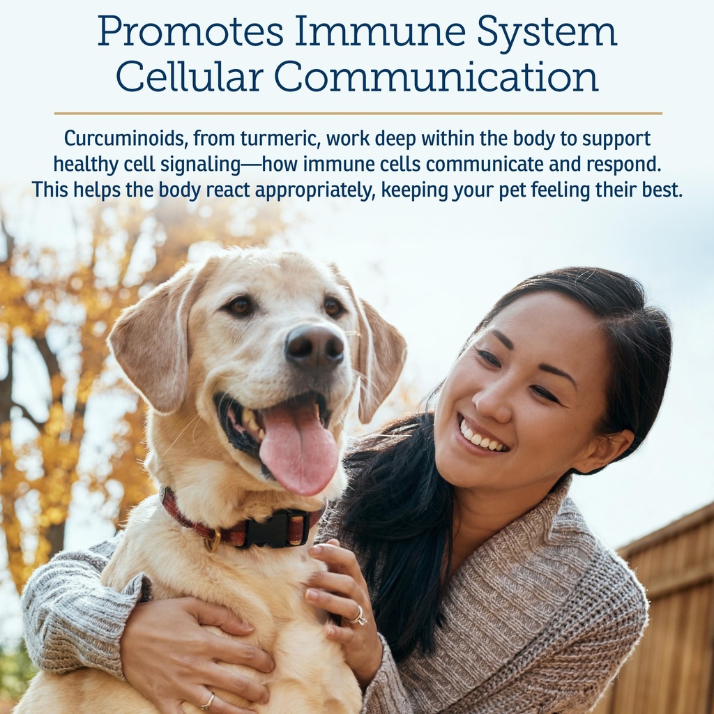 rx-vitamins-curcuwin-curcumin-for-dogs-c-4.jpg
