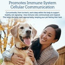 rx-vitamins-curcuwin-curcumin-for-dogs-c-4.jpg