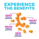 turmeric-curcumin-gummies-sugar-free-sup-5.jpg