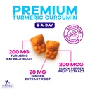turmeric-curcumin-gummies-sugar-free-sup-3.jpg