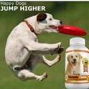 amazing-turmeric-for-dogs-curcumin-pet-a-3.jpg