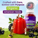 sambucus-elderberry-gummies-vitamin-c-zi-2.jpg