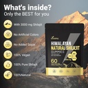 shilajit-gummies-pure-himalayan-micronut-6.jpg