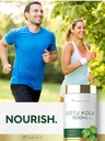 carlyle-gotu-kola-supplement-180-capsule-6.jpg