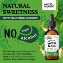 wild-organic-gotu-kola-herb-tincture-bra-6.jpg