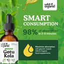 wild-organic-gotu-kola-herb-tincture-bra-4.jpg