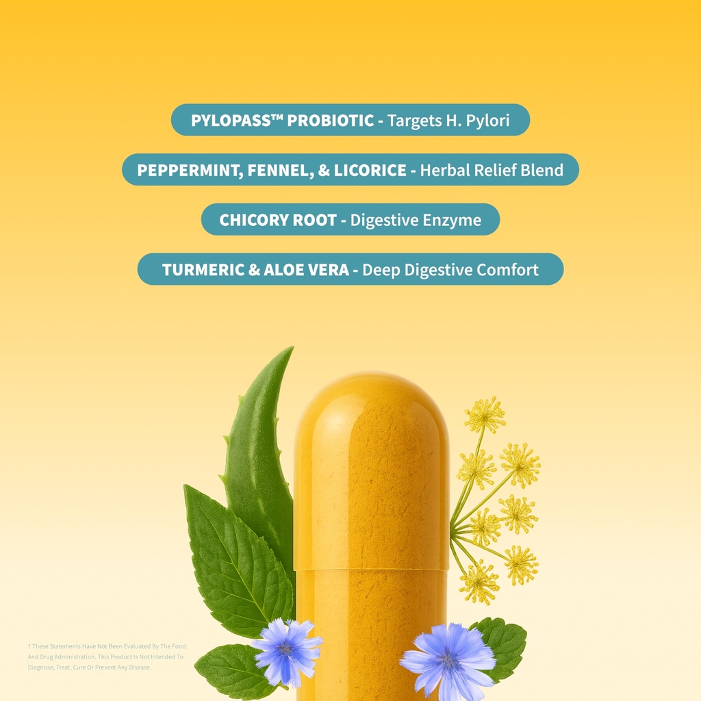 snap-supplements-gut-health-lipase-suppl-2.jpg