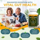vital-gut-health-4in1-formula-with-apple-4.jpg