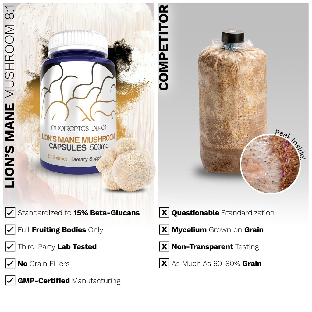 nootropics-depot-lions-mane-mushroom-cap-5.jpg