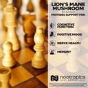 nootropics-depot-lions-mane-mushroom-cap-4.jpg