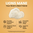 noomost-lions-mane-mushroom-supplement-c-4.jpg