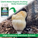 organic-lions-mane-mushroom-supplement-c-5.jpg