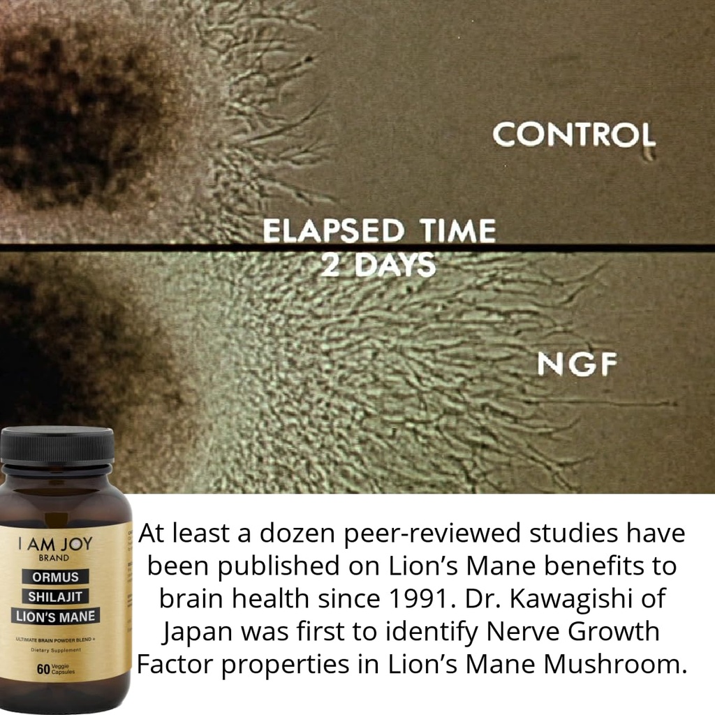 i-am-joy-co-ormus-shilajit-lion-s-mane-u-4.jpg