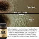i-am-joy-co-ormus-shilajit-lion-s-mane-u-4.jpg