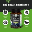 bundle-of-nootropic-memory-supplement-wi-4.jpg