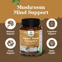 bundle-of-nootropic-memory-supplement-wi-5.jpg
